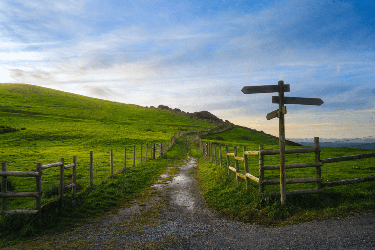 Pathfinder Network in-person training